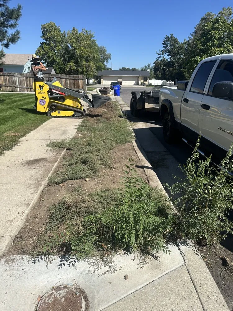 Custom landscape design in Riverton, UT - Dimas Tree Experts