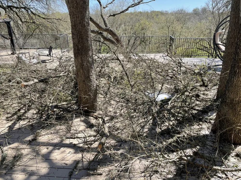 Reliable residential landscaping in Austin, TX - Dimas Trees & More