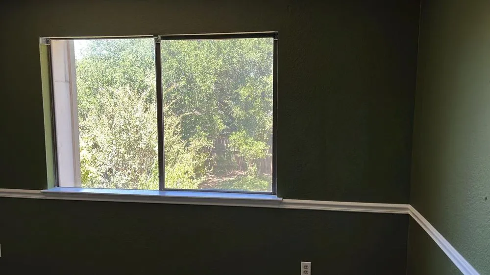 Local yard cleanup service for outdoor upgrades in Austin, TX by Dimas Trees & More