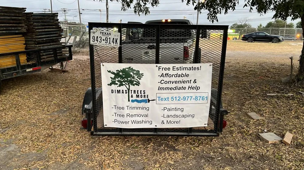 Professional residential landscaping in Austin, TX - Dimas Trees & More