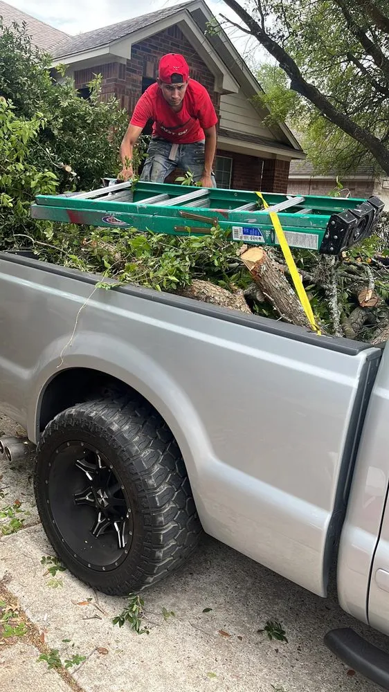 Reliable yard maintenance experts serving Austin, TX - Dimas Trees & More
