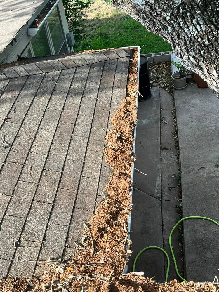 Expert lawn mowing service experts serving Austin, TX - Dimas Trees & More