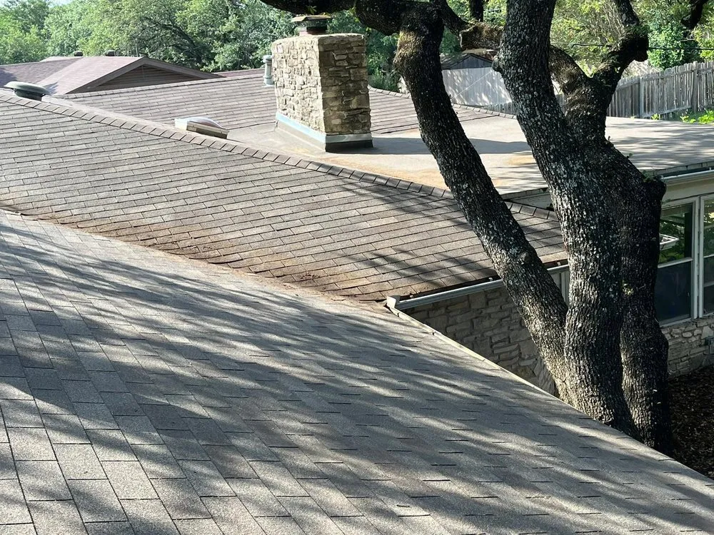 Professional landscape installation in Austin, TX by Dimas Trees & More