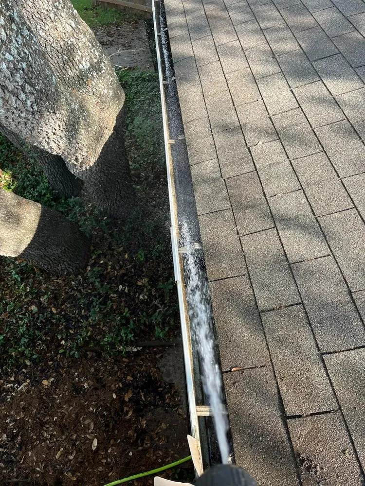 Expert lawn mowing service in Austin, TX - Dimas Trees & More