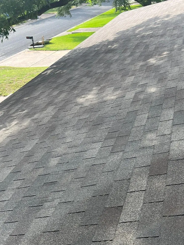 Professional outdoor landscaping in Austin, TX - Dimas Trees & More