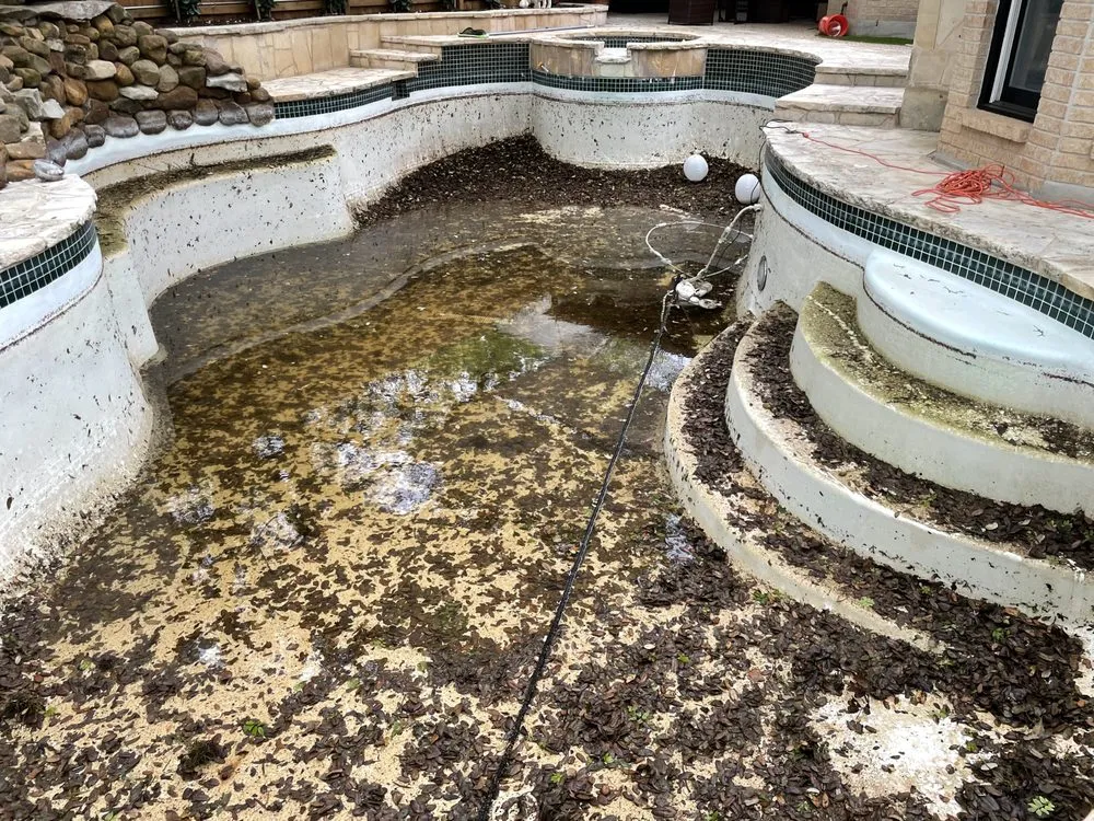 Top-rated yard cleanup service experts serving Austin, TX - Dimas Trees & More