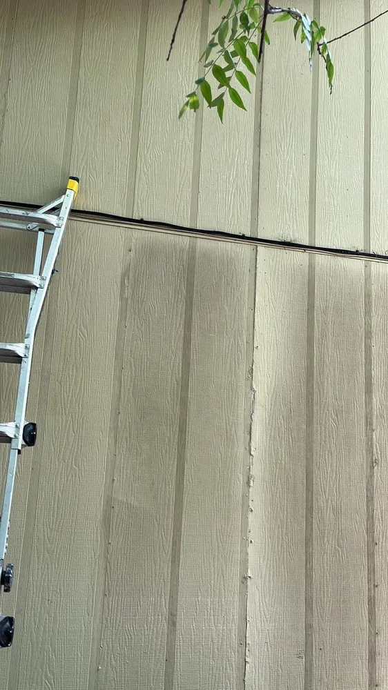 Top-rated garden landscaping in Austin, TX by Dimas Trees & More