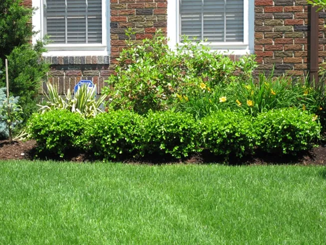 Reliable yard maintenance in Swampscott, MA by Dimauro Landscaping