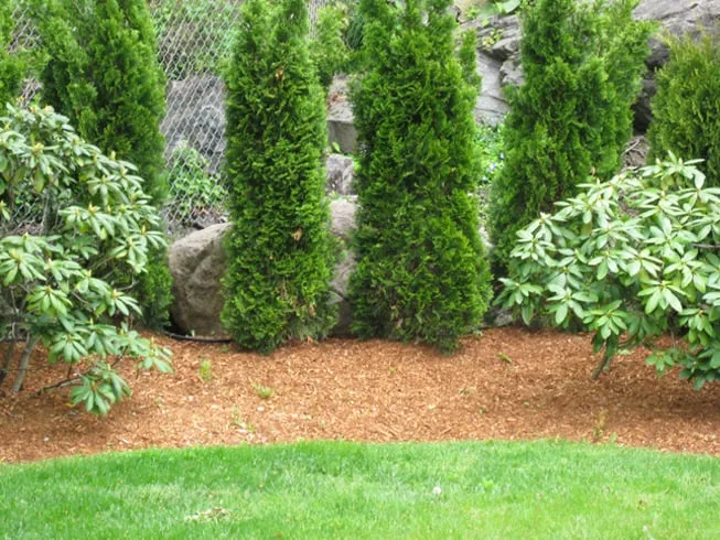 Custom outdoor landscaping in Swampscott, MA by Dimauro Landscaping