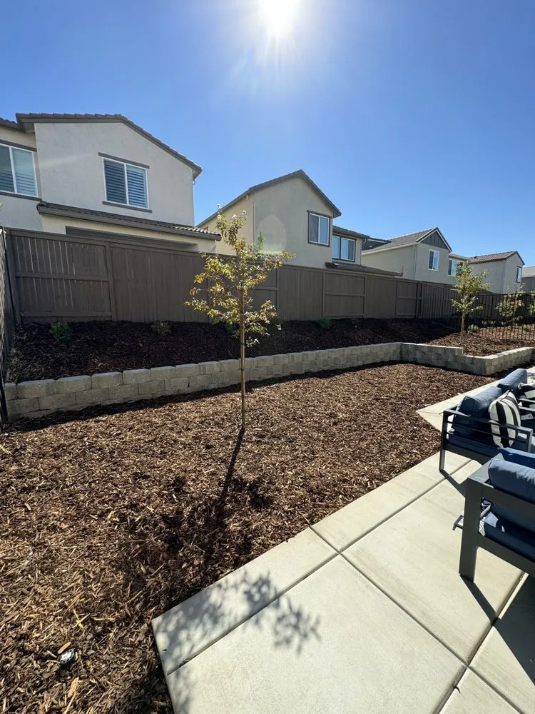 Custom yard cleanup service for homes in Sacramento, CA by Dimensions Landscape & Hardscape
