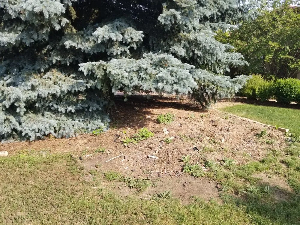 Top-rated garden landscaping for outdoor upgrades across Boulder, CO - Dimensions Landscape Management