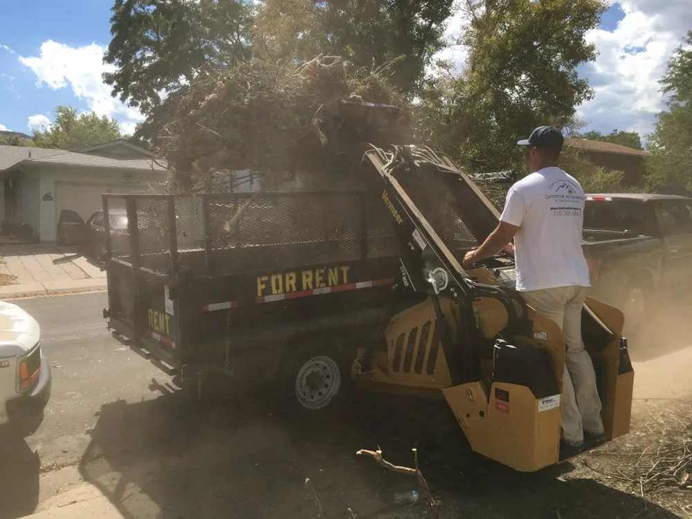 Custom yard maintenance for residential properties in Boulder, CO by Dimensions Landscape Management