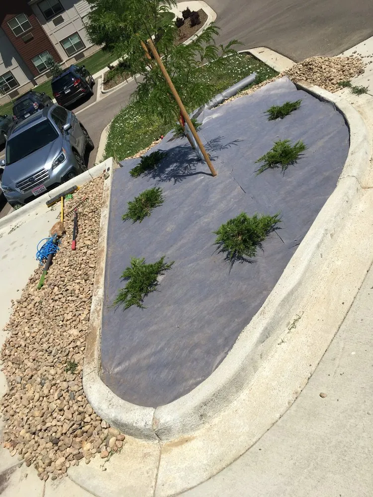 Affordable lawn mowing service in Boulder, CO by Dimensions Landscape Management