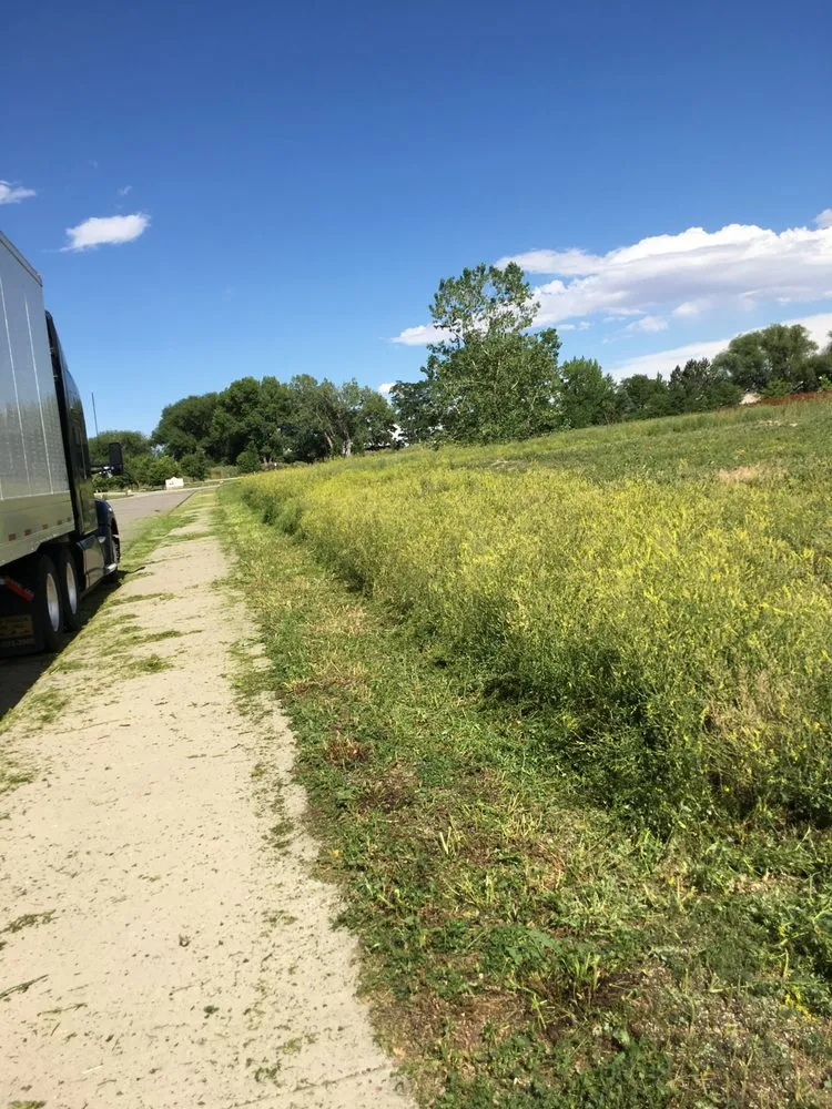Expert residential landscaping in Boulder, CO by Dimensions Landscape Management