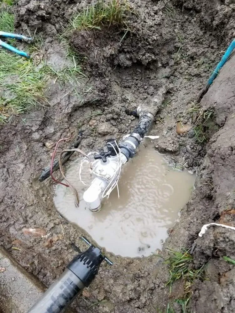 Top-rated residential landscaping in Boulder, CO by Dimensions Landscape Management