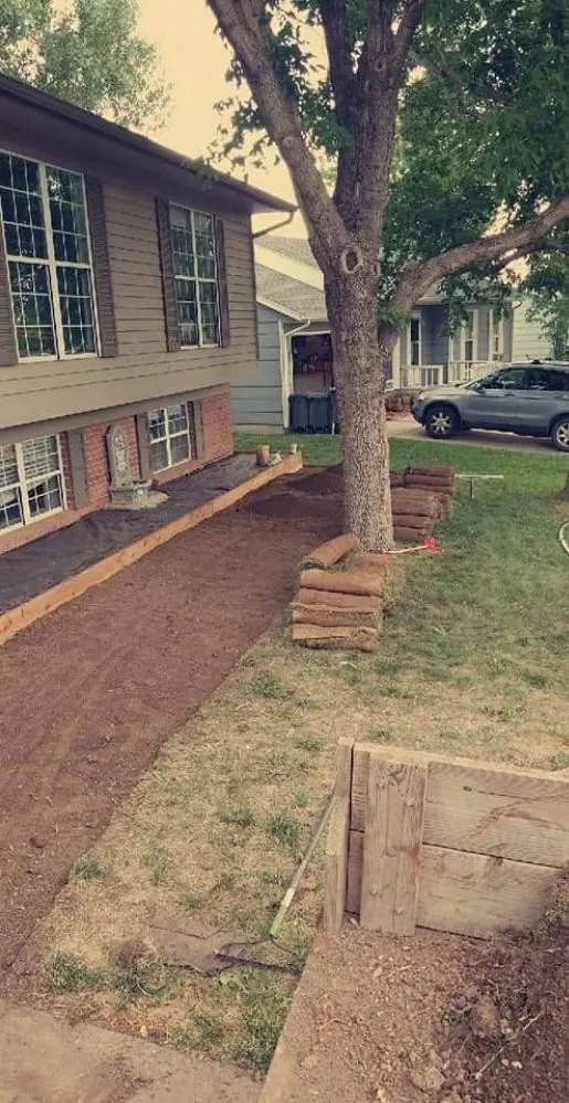 Local yard cleanup service for outdoor upgrades in Boulder, CO by Dimensions Landscape Management