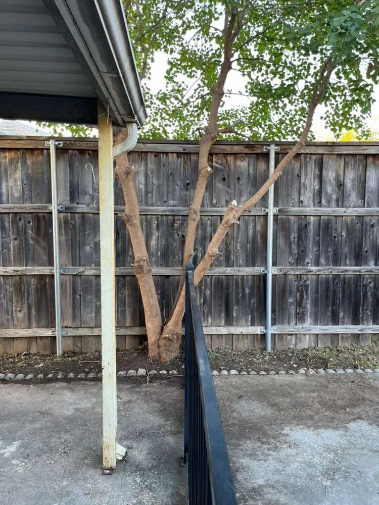 Custom landscape design in Arlington, TX - Dimesa