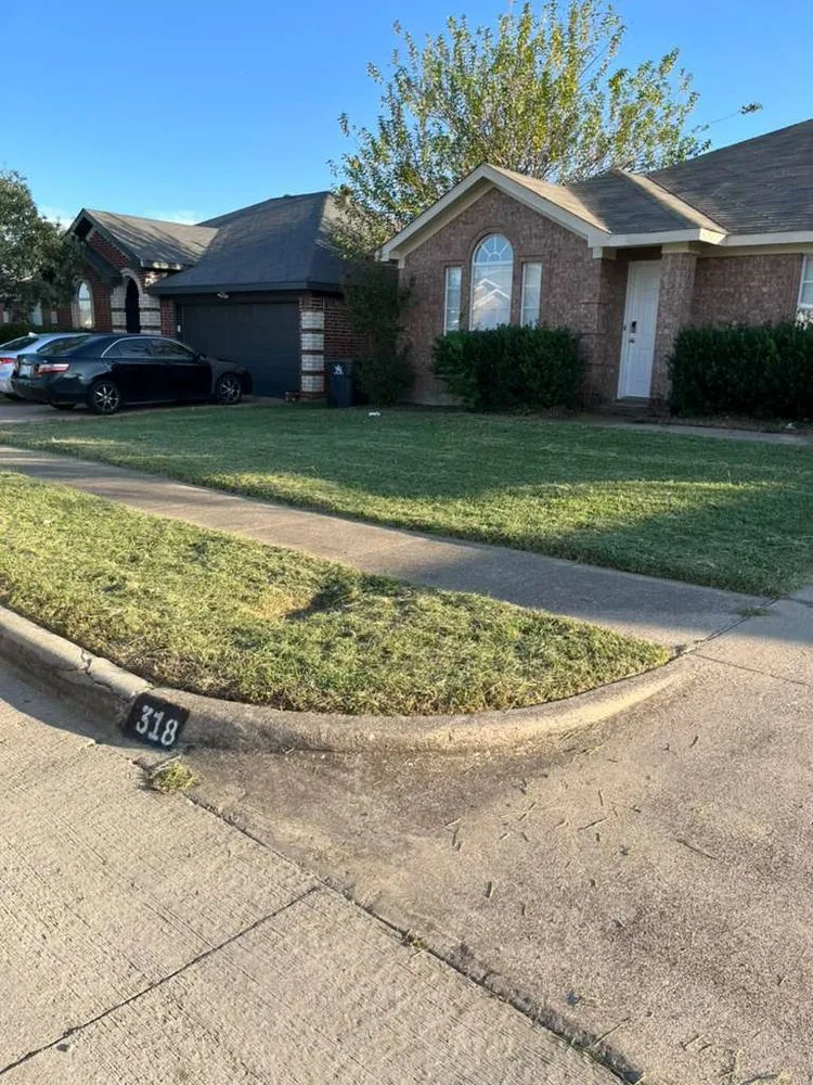 Top-rated outdoor landscaping in Arlington, TX by Dimesa