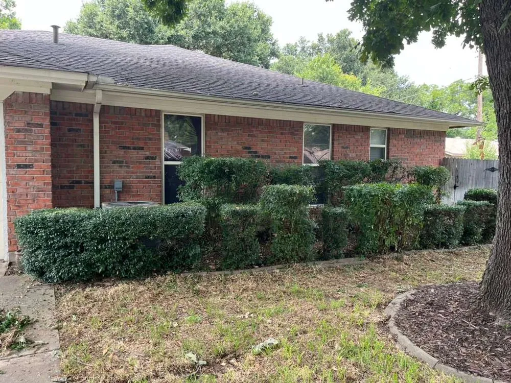 Top-rated yard cleanup service in Arlington, TX - Dimesa