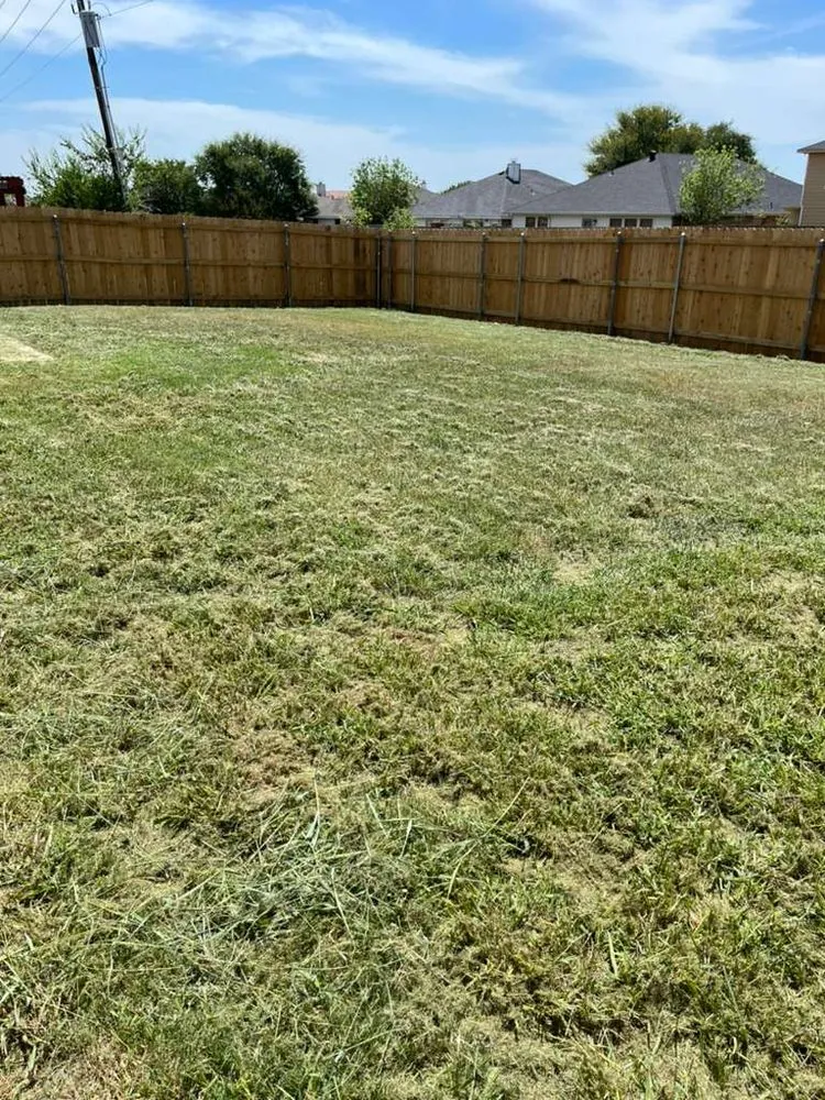 Expert yard cleanup service for homes across Arlington, TX - Dimesa