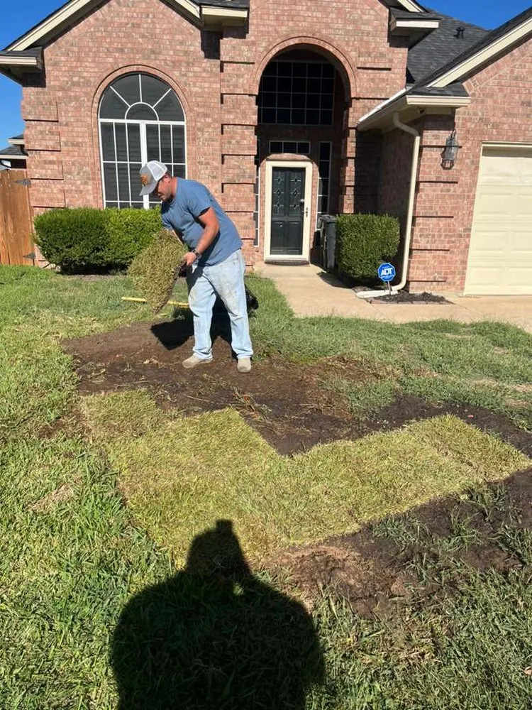 Professional outdoor landscaping in Arlington, TX - Dimesa