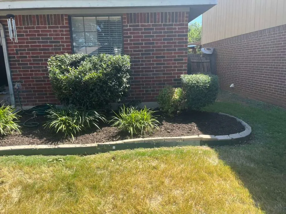 Reliable landscape installation in Arlington, TX by Dimesa