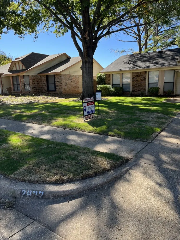 Affordable outdoor landscaping for outdoor upgrades across Arlington, TX - Dimesa