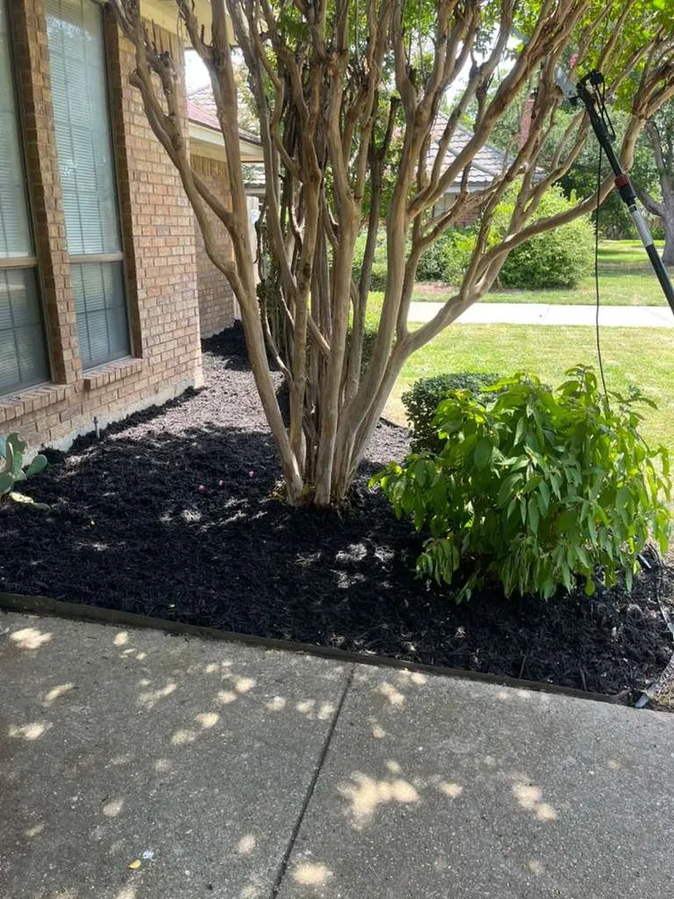 Trusted landscaping services for outdoor upgrades in Arlington, TX by Dimesa