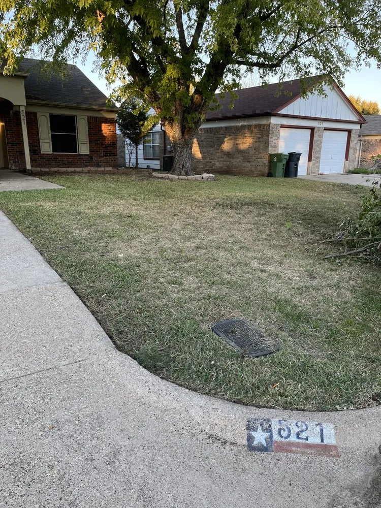 Custom garden landscaping for year-round maintenance across Arlington, TX - Dimesa