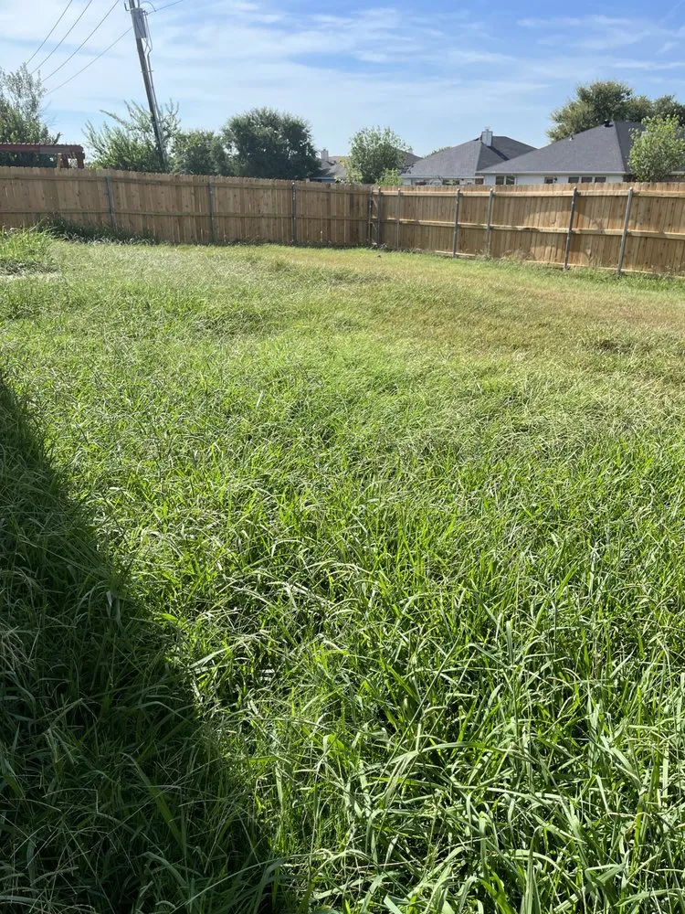 Reliable landscape installation experts serving Arlington, TX - Dimesa