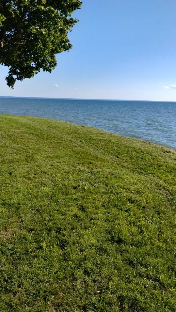 Professional landscaping services experts serving Richland, NY - Dimitri's