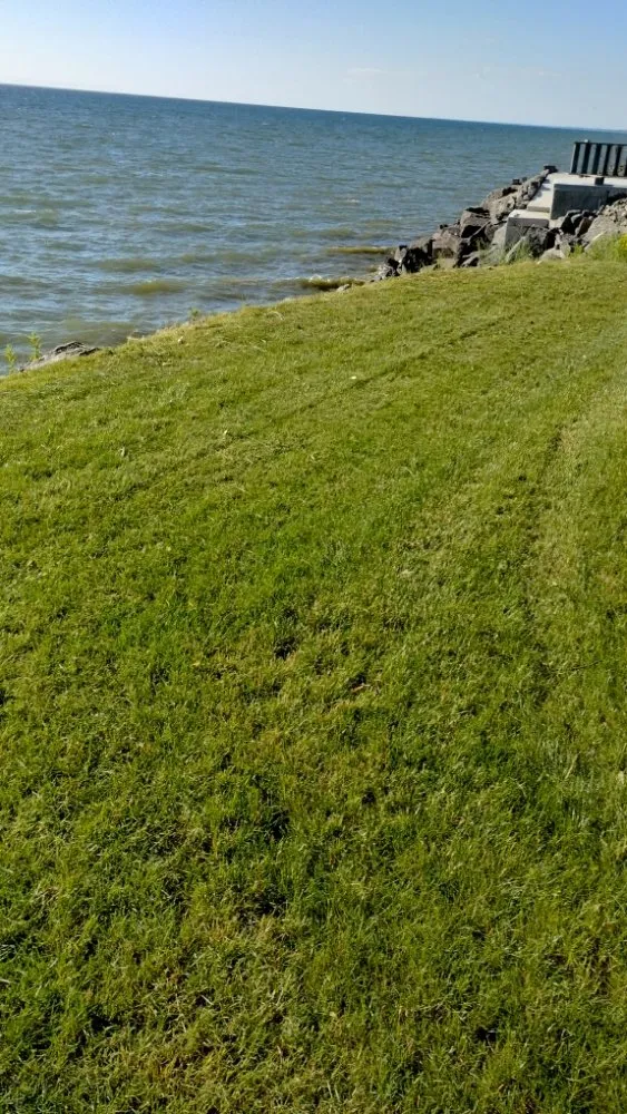 Trusted lawn mowing service for year-round maintenance across Richland, NY - Dimitri's