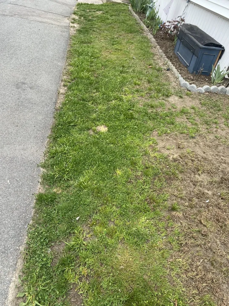 Expert yard maintenance experts serving Haverhill, MA - DI&N Landscaping