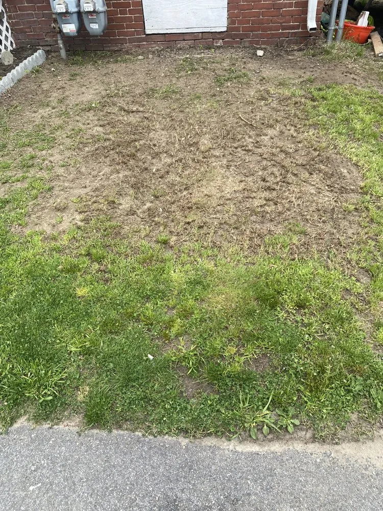 Reliable outdoor landscaping experts serving Haverhill, MA - DI&N Landscaping