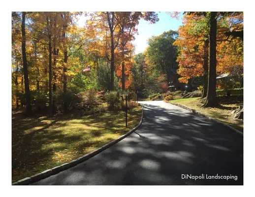 DiNapoli Landscaping
