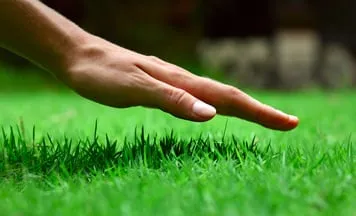 Top-rated yard maintenance for homes in Emerson, NJ by Dinardi Landscape Design & Construction