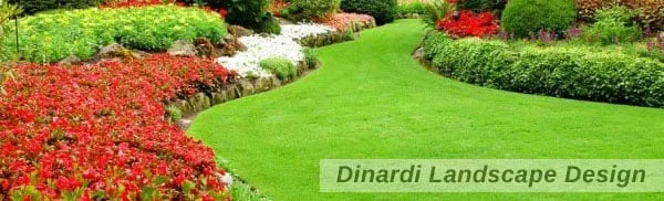 Custom yard maintenance in Emerson, NJ by Dinardi Landscape Design & Construction