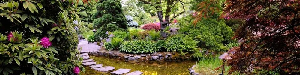 Reliable yard cleanup service in Emerson, NJ - Dinardi Landscape Design & Construction