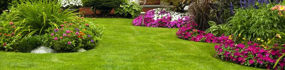 Expert outdoor landscaping in Emerson, NJ by Dinardi Landscape Design & Construction