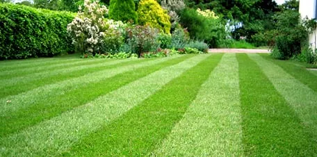 Professional yard cleanup service experts serving Emerson, NJ - Dinardi Landscape Design & Construction