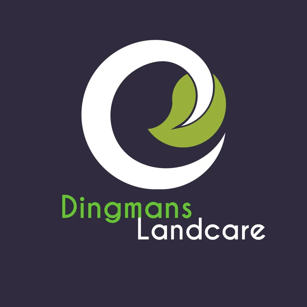 Custom yard cleanup service in Park City, UT by Dingman’s Premium Landcare Services