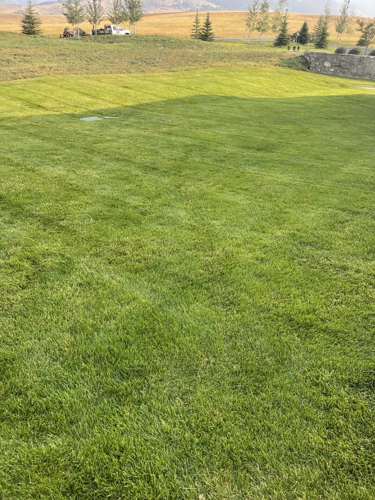Affordable yard cleanup service in Park City, UT - Dingman’s Premium Landcare Services