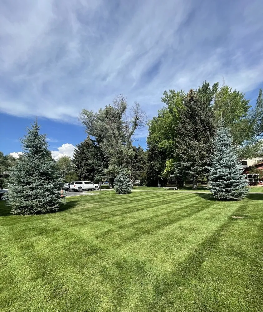 Trusted yard cleanup service for residential properties in Park City, UT by Dingman’s Premium Landcare Services