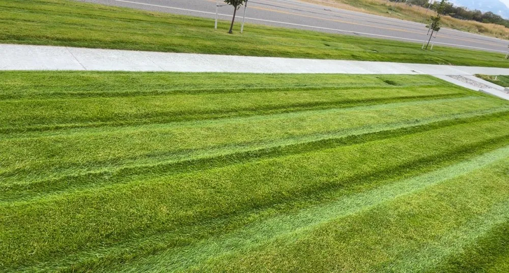 Local landscape design for homes across Park City, UT - Dingman’s Premium Landcare Services