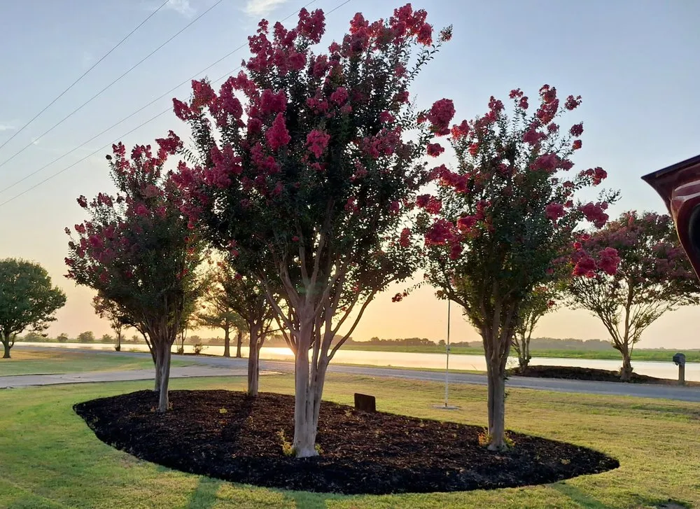 Trusted yard maintenance in Boyle, MS - Dingo Dave's Lawn Care
