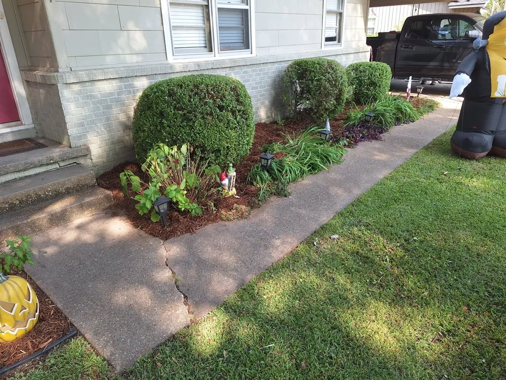 Custom lawn mowing service with custom design across Boyle, MS - Dingo Dave's Lawn Care