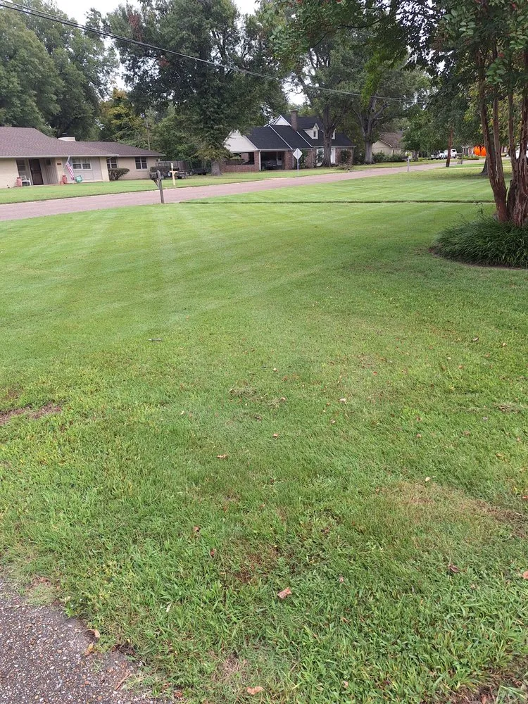 Affordable yard cleanup service experts serving Boyle, MS - Dingo Dave's Lawn Care