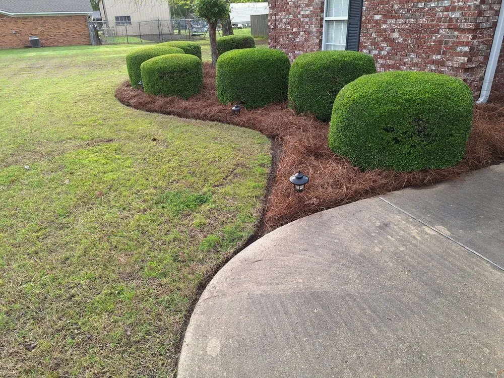 Professional lawn care service experts serving Boyle, MS - Dingo Dave's Lawn Care