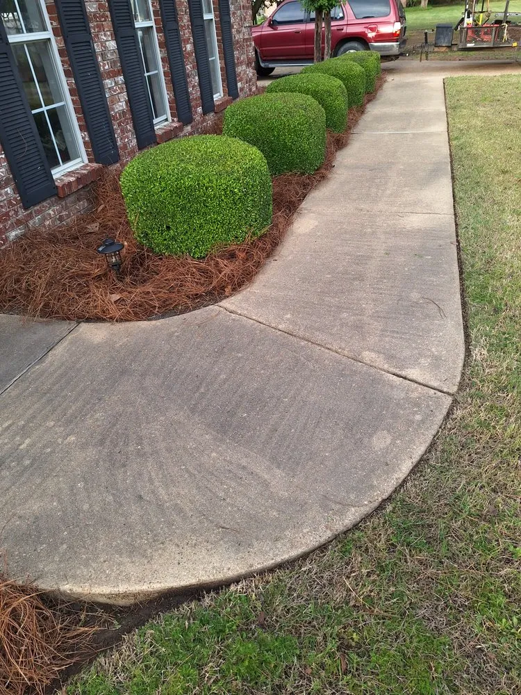 Custom yard maintenance near you in Boyle, MS by Dingo Dave's Lawn Care