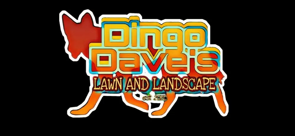 Affordable yard cleanup service with custom design in Boyle, MS by Dingo Dave's Lawn Care